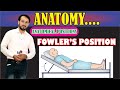 Fowler's Position | Anatomical Positions | Explained Practically | Learn Conceptually