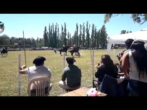 Jineteada : El pichón de oteghy vs Joaquín Groglio