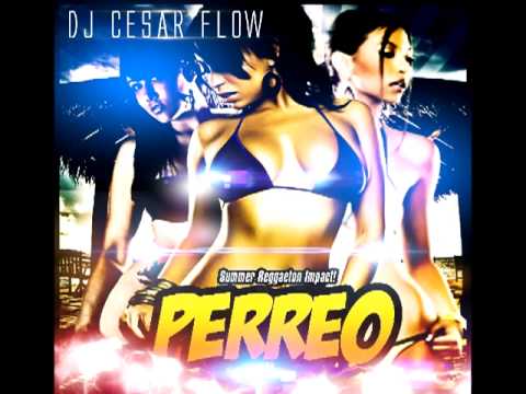 Mix Perreo Dj Cesar Flow
