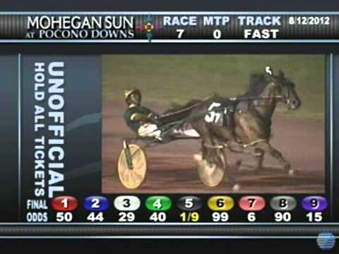 All Stienam Pcd Aug12