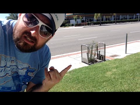 TDW 1141 - What The Heck Is This ? Sidewalk Edition