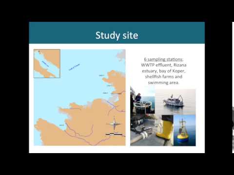 ESR6 José Gonçalves - Introduction