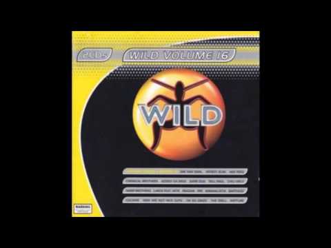 Wild Vol. 16 - Megamix by Blizzard Brothers