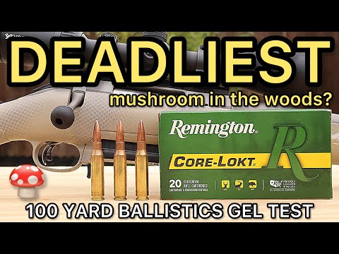 DEADLIEST 7mm-08?! Remington Corelokt Hunting Ammo Test