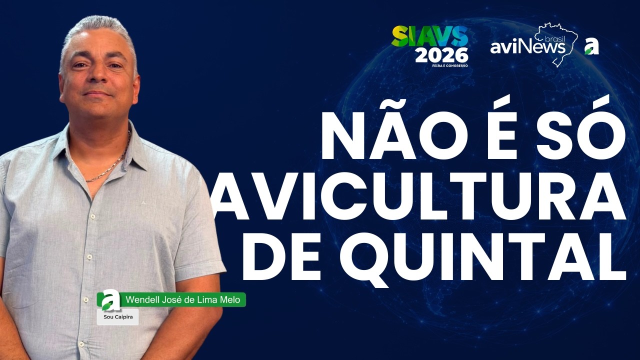 Avicultura caipira: o “gigante invisível” que busca mais profissionalização