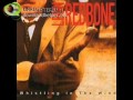 Leon Redbone   I Ain t Got Nobody