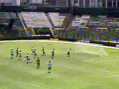 AMISTOSO FERRO TEMPERLEY PASA ROZANDO EL PALO