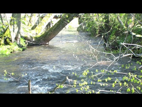 ZAKLINANIE Alicja Patey - Grabowska ( Steffen) muz i wyk: Cezary Stefan Stawski - Vedamir  ( 375 )