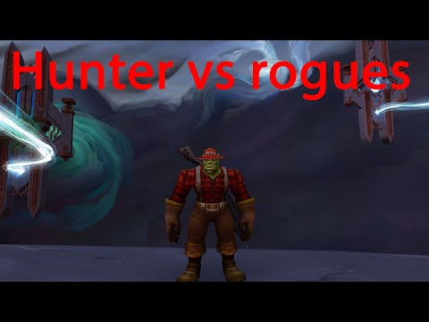Hunter vs rogues - Beast mastery hunter pvp  - Shadowlands 9.2