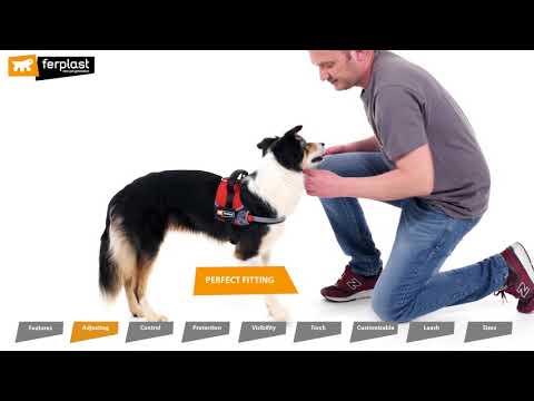 Миниатюра изображения товара Шлея Ferplast Hercules (S, черный)