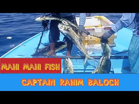 Longline Fishing | longline fishing in Pakistan | hook line and sinker fishing | longline tuna fish