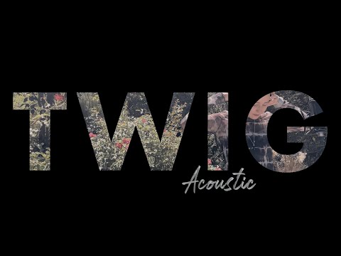 GEISTE - TWIG (Acoustic Version)