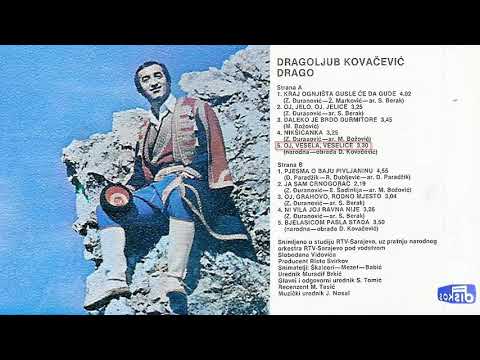 Dragoljub Kovacevic Drago - Oj, vesela, veselice - (Audio 1985)
