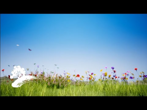 Best of Green Hill Music: The Classical Collection [Visualizer]