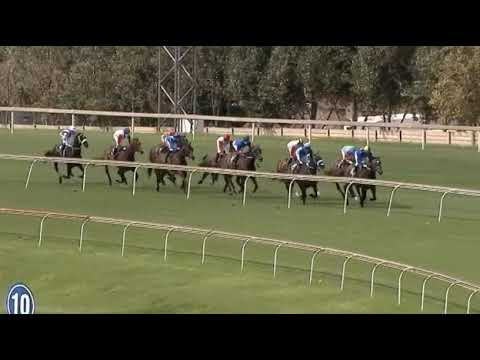 SAVANNAH STORM - Listed DRUM STAR HANDICAP #Turffontein