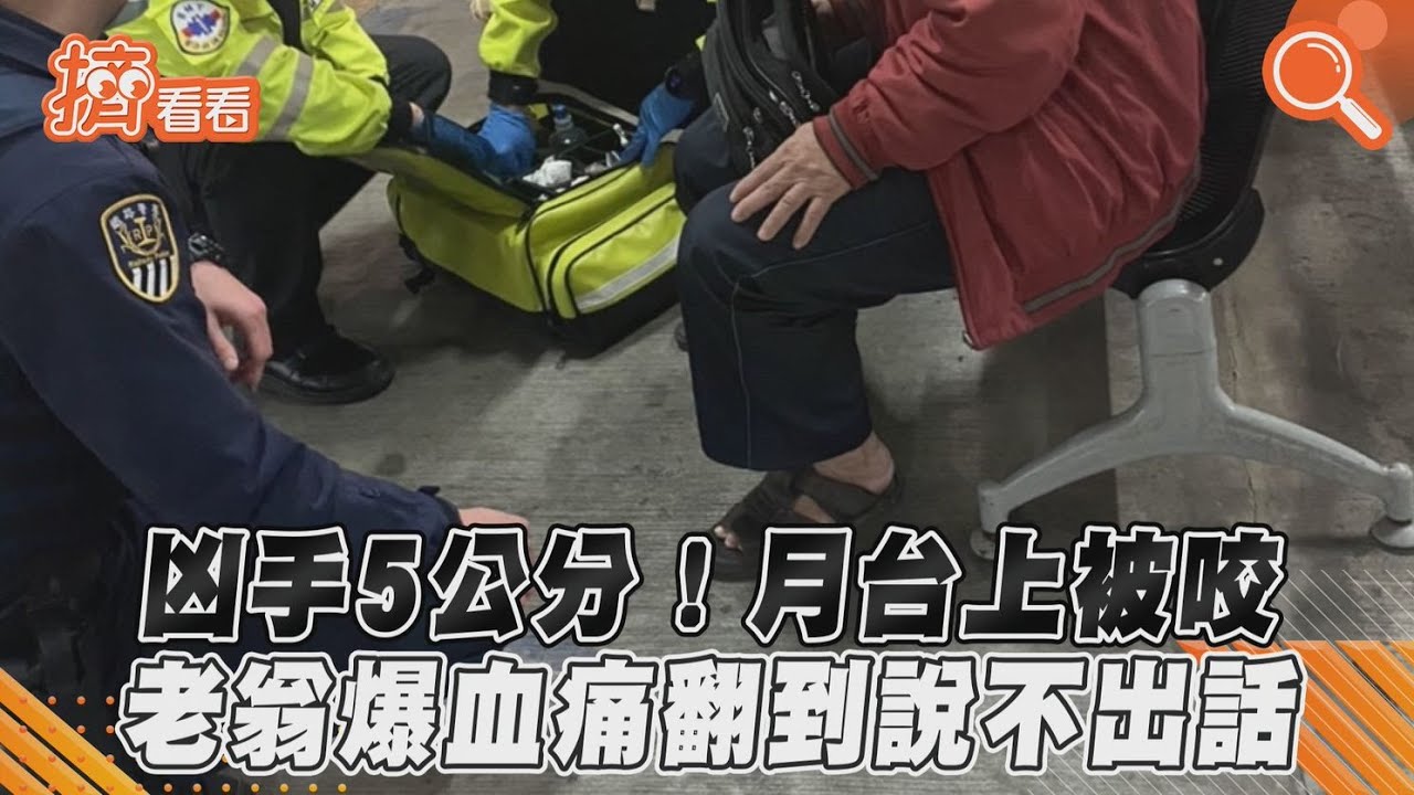 車站月台被牠咬!老翁爆血痛到說不出話 兇手才5公分
