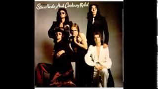 Best Years of Our Lives - Steve Harley &amp; Cockney Rebel