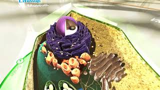 Lifelique Museum - Malcolm Nance {HTC VIVE VR}