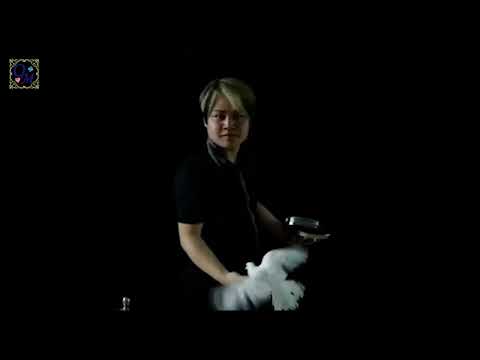 スーパーオートフレイムダブパン～Super Auto Flame Dove Pan(Double Load)～