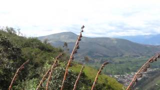 preview picture of video 'Llegando a Sucre, Cajamarca'