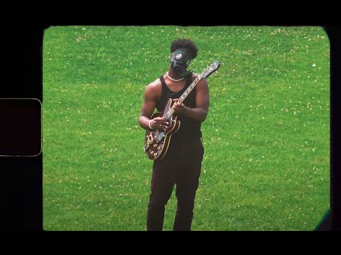 Black Hibiscus - BASQUIAT (Starring Kendall Nix)