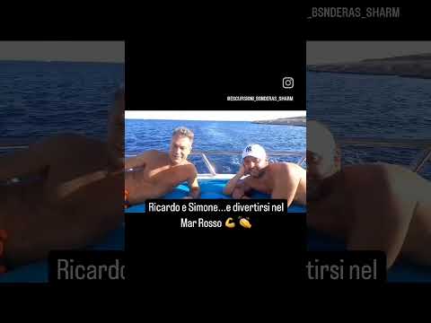 🌟 gita Isola bianca o Isola che non c'è o maldive Egitto Ogni giorno Dalle 8:00 mattina Alle 16:45 👇 - Video 4