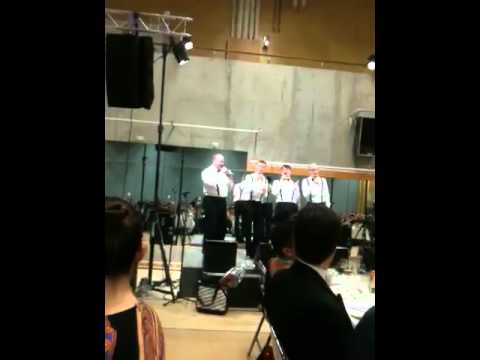 NSSS 2011 skitSKÖNt "bara sprit"