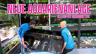Wir bekommen eine neue Aquarienanlage | Alltag bei Aquaddicted!