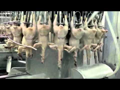 Collo il video di massaggio osteocondrosi Unguento per dolori alle articolazioni di spalla