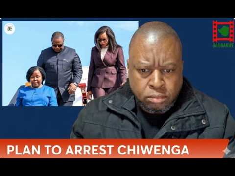 Constantino Chiwenga, Vice President of Zimbabwe, walking with officials at an airport