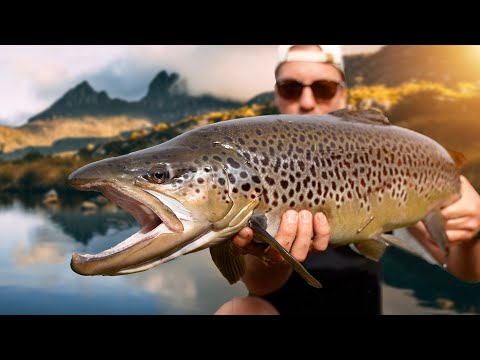 Catching HUGE TROUT by Tasmania's Iconic Mountain!