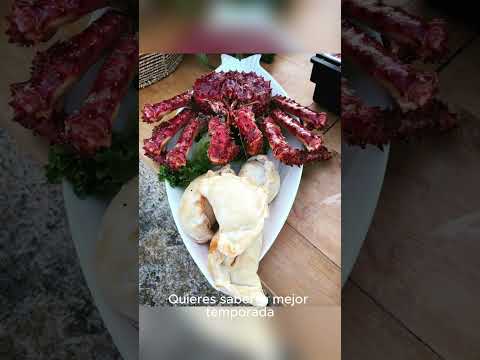 😱 ¡Gigantes del Mar! Así es ver Ballenas en Puerto Madryn 🐋 (Guía Completa en el Canal) #viajes