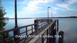 preview picture of video 'Dames Point Fishing Pier ~ Jacksonville, Florida'