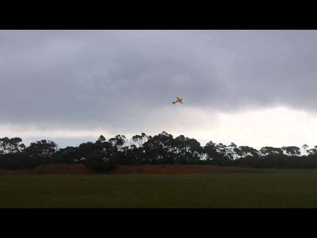 Model Sports - Dapto, NSW