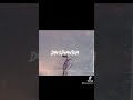 Tanzi Und Orange Thema Tik Tok D4vilph4ntom