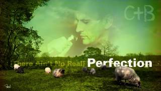 (There Ain't No Real) Perfection - Cuby and the Blizzards