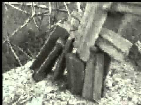 Fracasos - While Indiana Burns