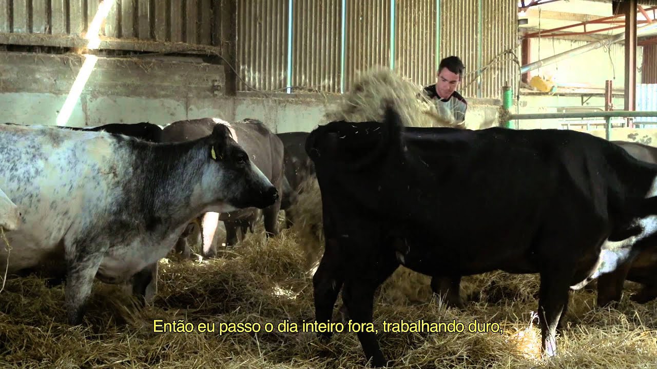 A Bola - Futebol Gaélico
