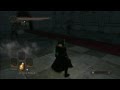 Dark Souls 2 - Neo fights the Twin Pursuers - Bare Fists No Damage CrazyTown NG+++++