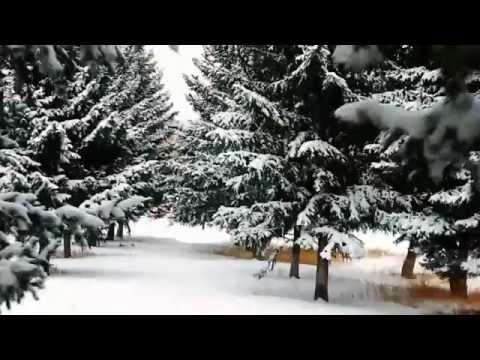 Cura di alcolismo fenibuty Indirizzi di cliniche anonime su cura di alcolismo