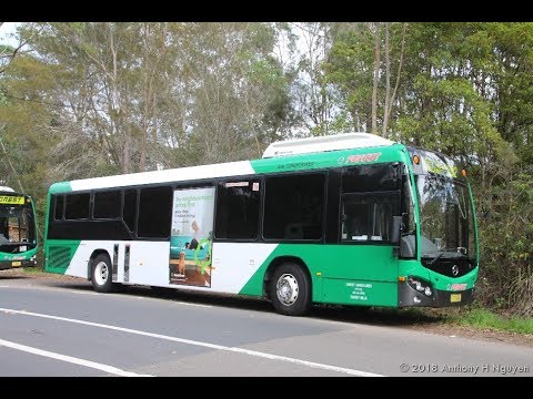 Forest Coach Lines [Terrey Hills] Volvo B7RLE Euro 5 / Custom Coaches CB80, m/o 5441