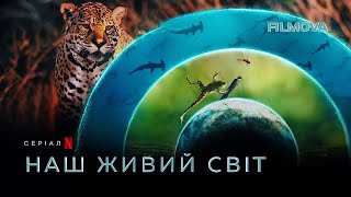 Наш живий світ | Кейт Бланшетт | Український дубльований трейлер | Netflix