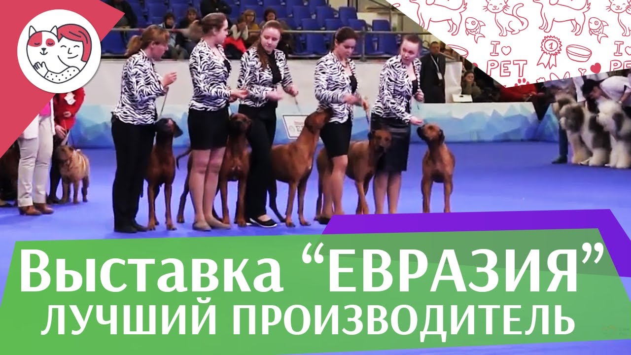 Best in show Лучший производитель 19 03 17 на Евразии ilikepet