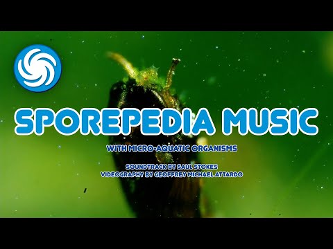 Sporepedia Soundtrack + Microscopic Aquatic World – A Visual Treat for Spore Fans