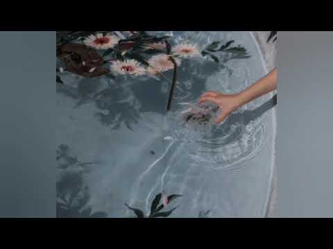 𝚜𝚒𝚐𝚖𝚊 - 𝚏𝚒𝚗𝚍 𝚖𝚎 𝚏𝚝. 𝚋𝚒𝚛𝚍𝚢 (𝚜𝚕𝚘𝚠𝚎𝚍 𝚍𝚘𝚠𝚗)