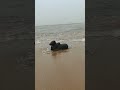 Tiruchendur Beach Nandi Statue Tiruchendur Shorts