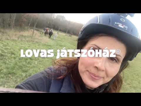 Lovas Játszóhaz 2020.11.22