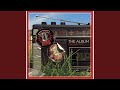 Art of Almost (Live)