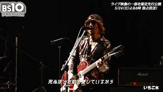 ブランキー「いちご水」“ベンジー”浅井健一が熱唱！『浅井健一GREAT SELECTION CIRCUS 2026』コメント