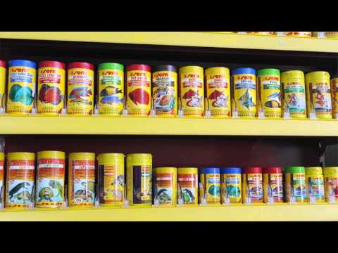 Orijin Pet corporate video 2015